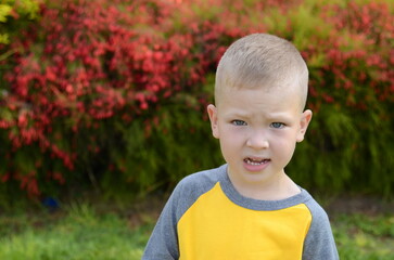 Portrait of a boy, five years old. school age child. Children's emotions on the face, joy, surprise, interest. Close-up, cute boy, blue eyes. yellow flowers in the background