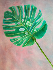 Abstract monstera leaf hand drawn with oil paints on pink gray background on canvas - 528024017