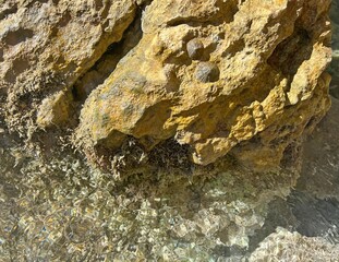 Coastal cliff with shells near clear sea with stone pebble bottom.