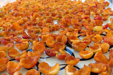 Fototapeta na wymiar close-up apricot drying process, fruit drying process in summer, drying fruit in the sun,