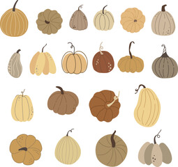 Autumn Pumpkin clipart vector set