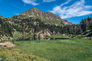 Beautiful view in the high mountains. (Circ Corominas, National Park of Sant Maurici and...