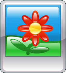 photo Illustration