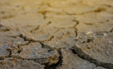 closeup dry cracked land lightened by sunlight, natural calamity background