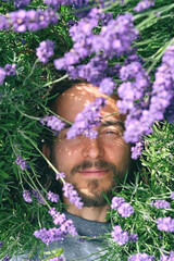 Portrait of young handsome bearded man lying among lavender flowers in blossom field. Happy smiling guy relax on the grass on sunny summer day. Freedom, cottagecore concept.
