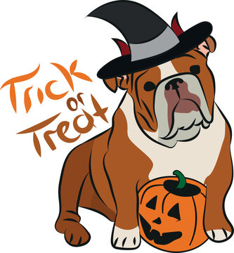 Dog Halloween greeting card with a sitting English Bulldog. Dog in costume, pumpkin in paw. Postcard for dog lovers. 