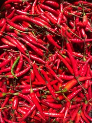 Close-up of a large number of red chili peppers