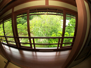 Japanese garden photographed with a fisheye lens