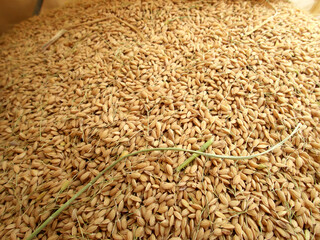 a heaping pile of rice