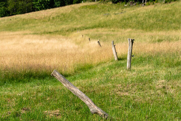 fence in the pasture