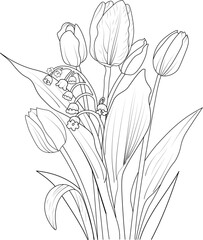 black and white hand drawn, tulip flower botanic collection, pencil sketch of vector illustration natural leaf, summer floral coloring page for adult and children.