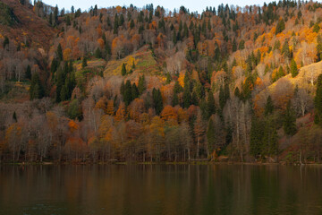 Autumn Colors in the Borcka Karagol Lake, Borcka Artvin, Turkey