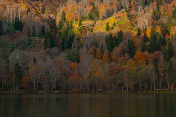 Autumn Colors in the Borcka Karagol Lake, Borcka Artvin, Turkey