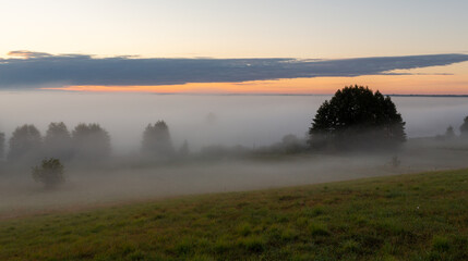 Sunrise in the Biebrza National Park. Foggy morning. The sun is shining through the fog. Trees in the fog. September in Podlasie
