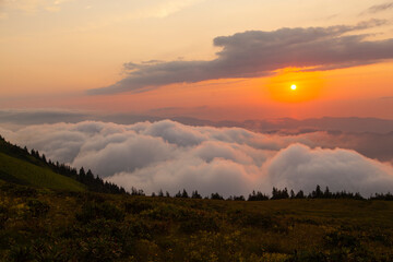 Fog in the Gito Plateau, Camlihemsin Rize, Turkey 