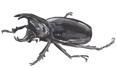 Rhinoceros beetle gouache illustration Hand painted png clipart with transparent background © Liudmila