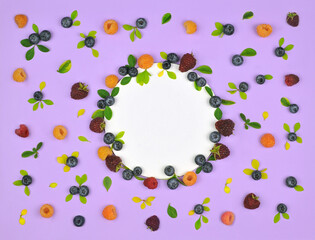 White round frame mockup with blueberries, red and yellow raspberries and green and yellow barberry leaves on lavender color background. Top view, flat lay. Healthy diet berry dessert . 