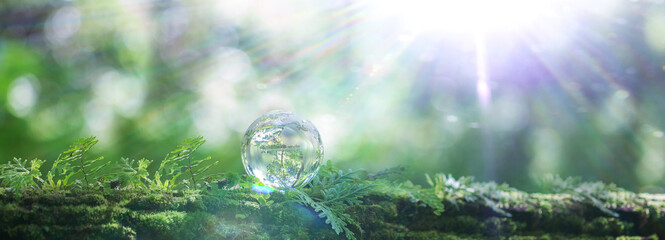 Globe planet glass in green forest with bokeh nature lights. world environment day. concept of...
