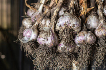 Photo food garlic bulb. Background texture Plant vegetable garlic.