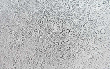 Plakat steam bubbles, dew, carbon dioxide