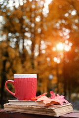 Tea cup with bright leaves and old books in garden. autumn natural background. cozy fall time...