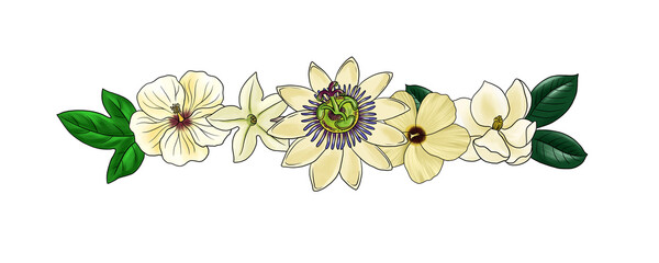 drawing floral compostion with white flowers, bouquet at white background, decorative element, hand drawn illustration