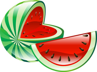 watermelon illustration