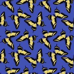 vector seamless pattern with butterflies, hand drawn background