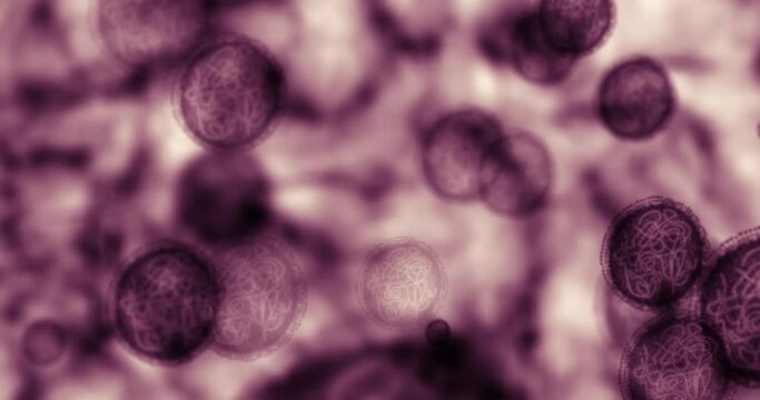 Virus, rna and bacteria molecules in a scientific microscope to do research and test in lab. Medical, science and pharmaceutical innovation technology of floating microscopic particles in laboratory.