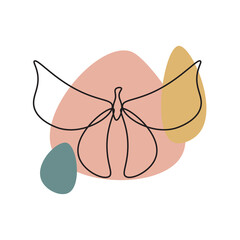 butterfly line art with minimalist color