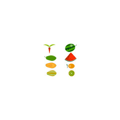 Fruits illustration template , for commercial use editable  eps file format