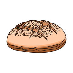 Hand drawn illustration of campagne rond bread, french bread. Suitable for bakery menu illustration, promotion, or bakery restaurant wallpaper.