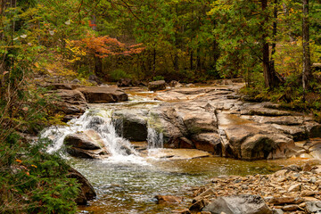 赤沢自然休養林