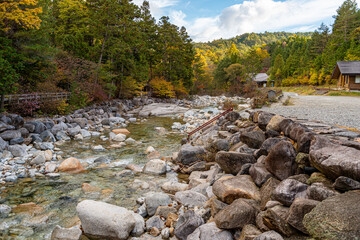 赤沢自然休養林