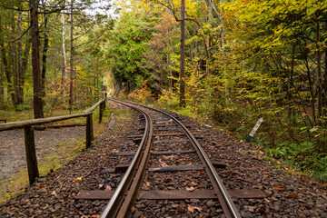 赤沢森林鉄道