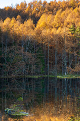 【長野県】初秋の御射鹿池