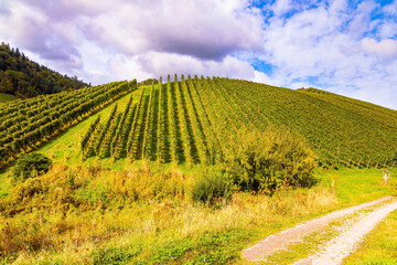 Journey to the wine region