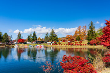 【長野県】蓼科湖の紅葉