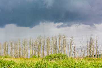 Heavy rain storm clouds wind waves water Oste river Germany.