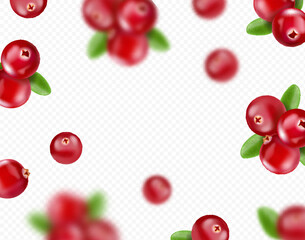 Falling cranberry, berries in the air background.