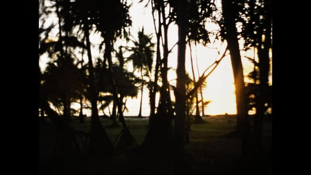 Kenya 1977, Orange sunset palms