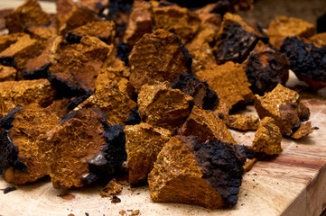 Closeup of dried and cut orange and black medicinal chaga mushroom from birch tree, used in alternative medicine on board.