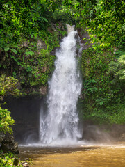 Fototapeta na wymiar Bouma Falls Fiji