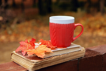 Tea cup with bright leaves and old books on table in garden. autumn background. cozy fall season concept. autumn tea party