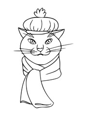 Cat in a funny hat and scarf avatar. Cute cat with a headdress, drawn in a doodle style, isolated on a white background