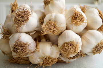 Dried garlic on a table.