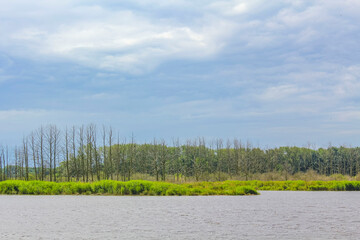 Beautiful natural landscape view panorama forest Oste river water Germany.