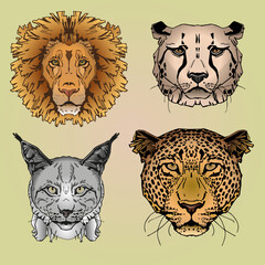 set of animals