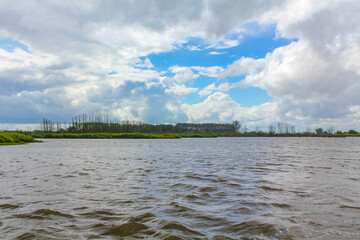 Beautiful natural landscape view panorama forest Oste river water Germany.