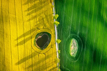 Crédence de cuisine en verre imprimé Vert Half green wheat and yellow rape fields in Poland countryside.